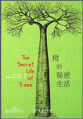 树的秘密生活